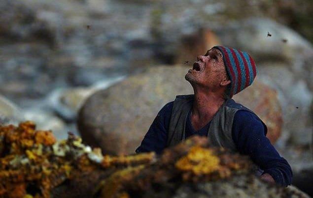 Uurumdaki kovanlardaki bal kurtarp aaya inenler byk baar kazanm oluyor.