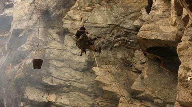 Bu srada ilkel korunma yntemleri dnda hibir koruyucu kyafeti olmayan bal hrszlar arlarn saldrsna uruyor.