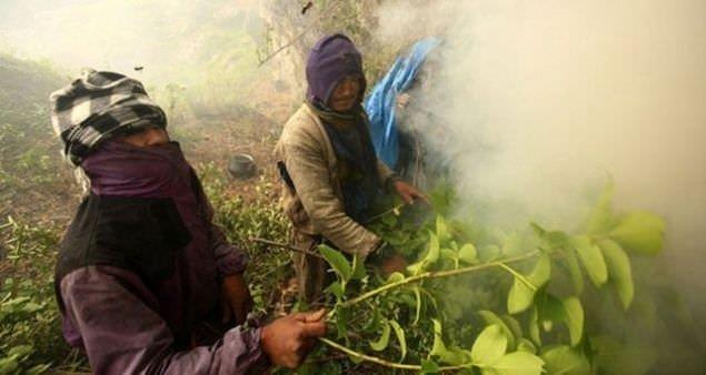 Bu trleri kovana alp arclk yapmak mmkn olmuyor. Bu ilerle uraanlara zaten arc deil, bal avcs deniliyor.