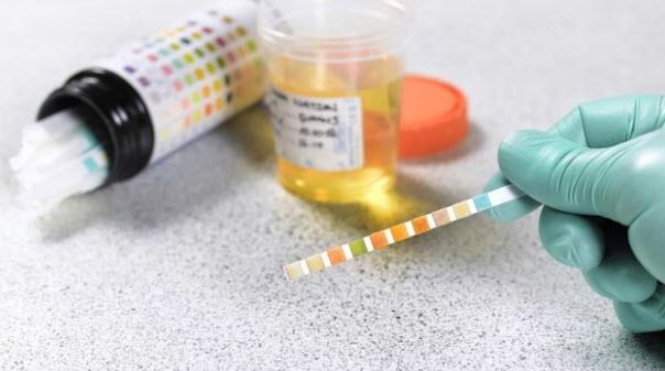 Portfy direktrleri, irketlerin st kademelerinde yer alacak ve hangi ilacn kimlere pazarlanacann stratejisini oluturacak.