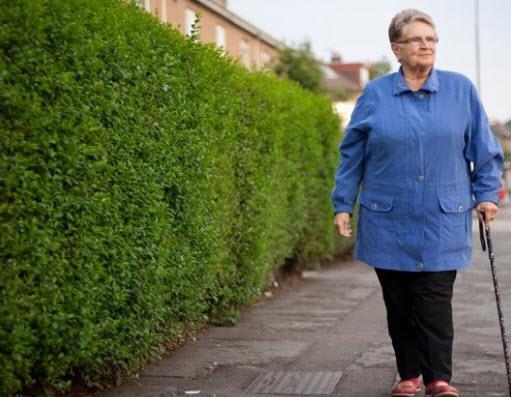 Ortalama yaam srelerinin artmasyla, yal nfusun da artmas bekleniyor. Gnlk refakatiler, teknolojiyle pek de aras olmayacak bu insanlar yrye karacak ve onlarla istedikleri konuda muhabbet edecek.