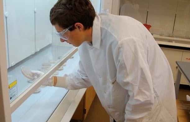 GENOMK PORTFY DREKTR