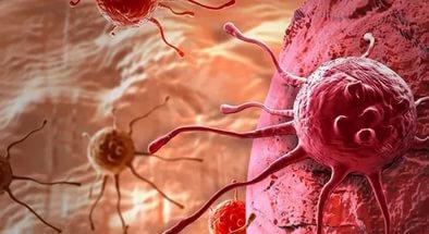 7- Kanser riskini azaltr  Beyin sal iin ok gerekli olan kolin, ayn zamanda kanser riskini de azaltyor. Bir aratrmann sonularna gre, ergenlik andaki diyetlerinde yumurta yiyen kadnlarn meme kanserine yakalanma riski yzde 18 orannda azalyor.