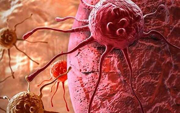 Ayvann ierisinde bulunan 'katein epikatein' denilen ayvaya buruk tadn veren bileenler ayn zamanda mukozay koruyarak olas kolon kanseri ve barsak hastalklarn nlyor.