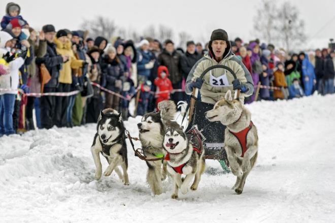 Ukrayna&#8217;nn Harkov ehrinde "Winter Dog Festivali" erevesinde kzakl kpek yar gerekletirildi. Sergey Bobok