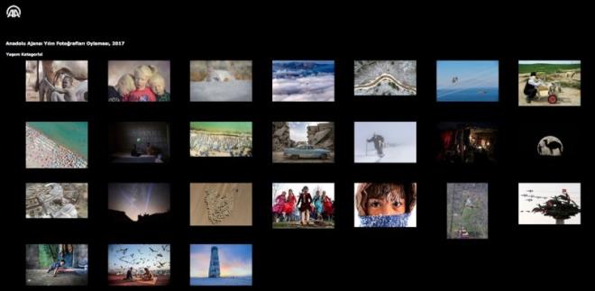 Cumhurbakan Recep Tayyip Erdoan, Babakan Binali Yldrm, bakanlar, brokratlar, sporcular ve ok sayda sanatnn oylamaya katld geleneksel "Yln Fotoraflar" yarmasnda, haber kategorisinde 21, yaam kategorisinde 24 ve spor kategorisinde 23 kare fotoraf yer alyor.