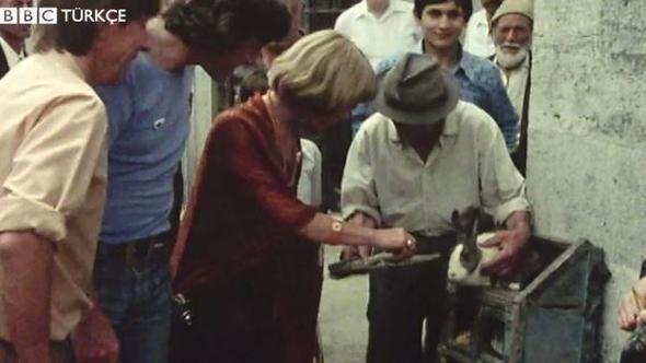 Niyet tavan ngiliz belgeselcileri epey artyor!