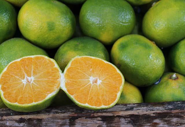 Pek oumuz genellikle sar mandalinalar tercih ederken, yeil mandalinalarn tketimi konusunda zerinde fazla durmaz. Halbuki yeil olan mandalinalar, sar olanlara gre kat ve kat daha faydalym.