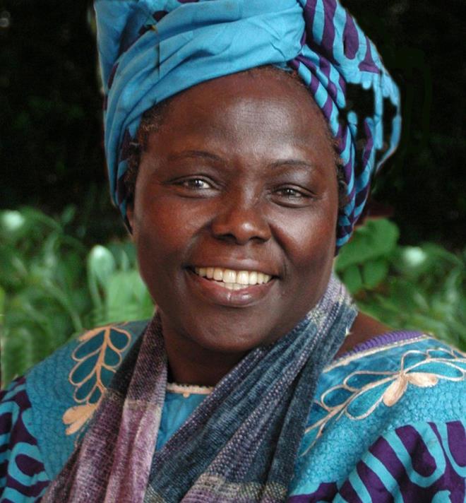 Afrika'da ise bar dln alan ilk kadn Wangari Maathai oldu. Maathai, 2004 ylnda srdrlebilir kalknma, demokrasi ve bara olan katklarndan dolay dle layk grld.