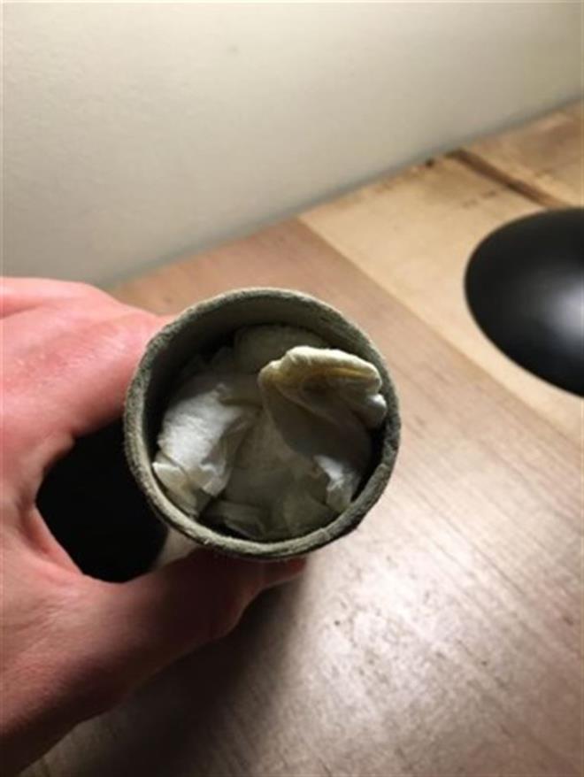 kinci Fransz mparatorluundan kalma olduklar anlald.