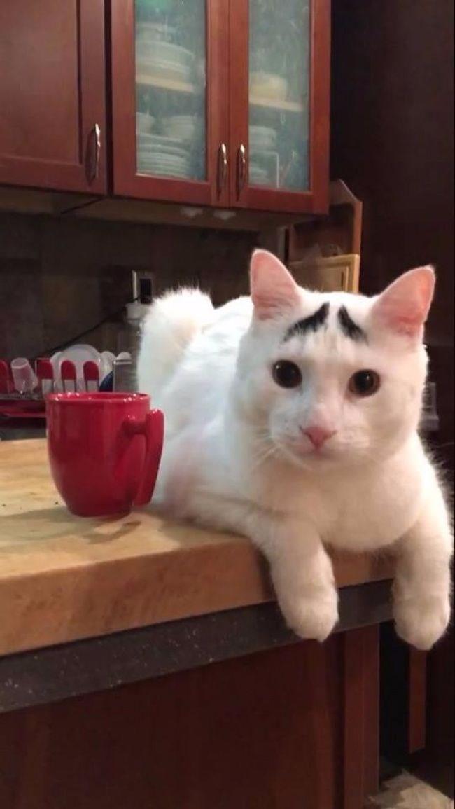 Doal gzelliin en sevimli hali