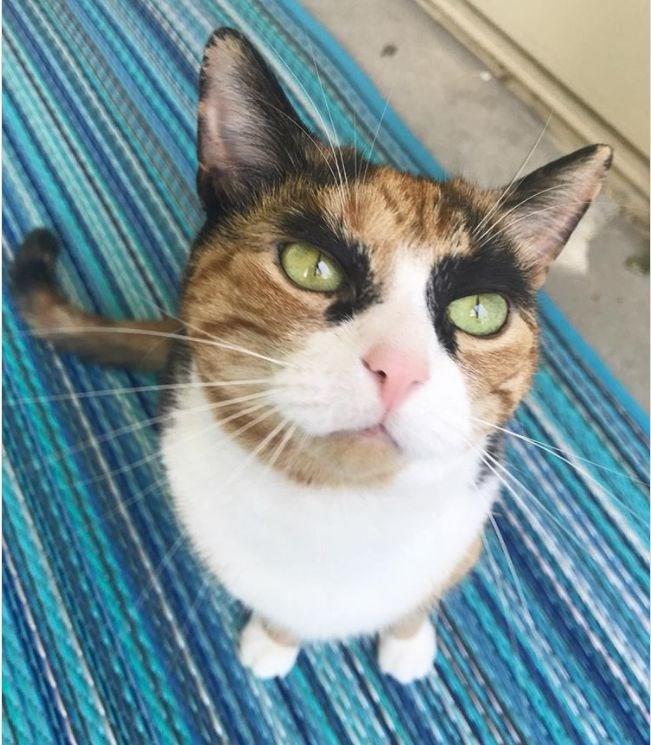 Doal gzelliin en sevimli hali