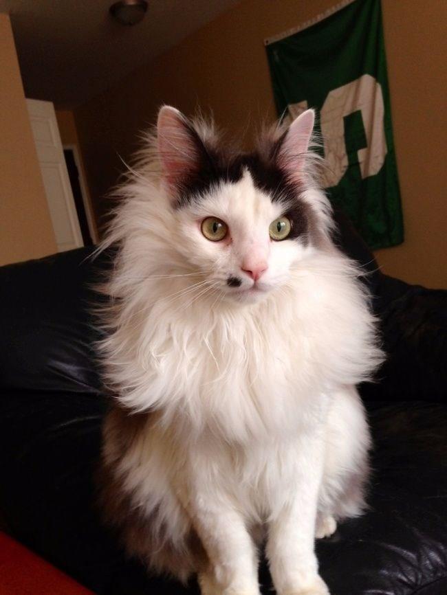 Doal gzelliin en sevimli hali