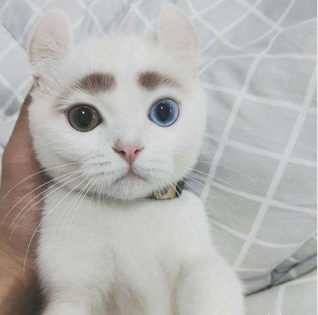 Doal gzelliin en sevimli hali