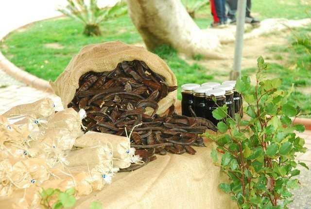 Su, st veya yourda atlarak keiboynuzunun 2 ay tketilmesi sonucunda deerlerin normale dnd gzlendi.