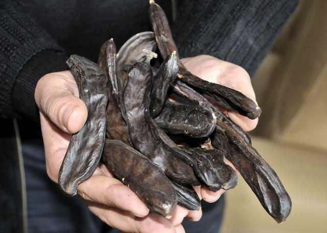 zellikle de antioksidan zelliiyle de kalp-damar salna olduka nemli yararlar salyor.