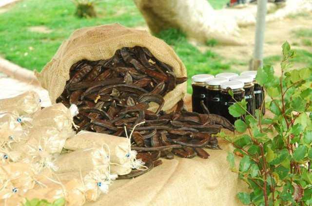 Uzmanlar, kan kolesterol dzeyi ve keiboynuzu ile ilgili yaplan bir almann sonularn u szlerle aklyor;