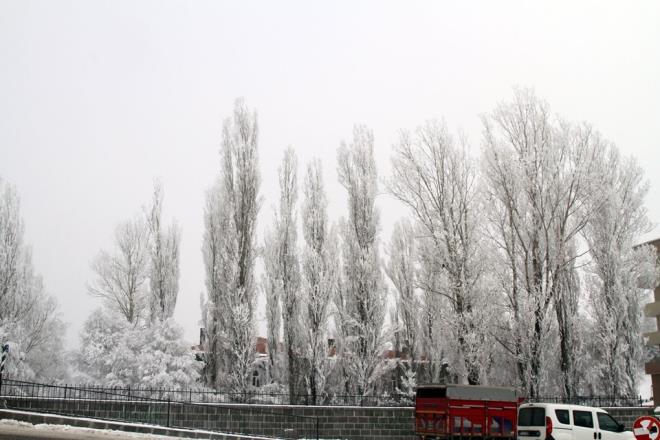 Termometreler, yine sfrn altnda olmak zere Ar Elekirt'te 24.9, Ardahan'da 20.5, Kars'ta 17.5, Erzurum'da 12.5, Idr'da 6.2, Erzincan'da 4, Mu'ta 3.5 dereceyi gsterdi.