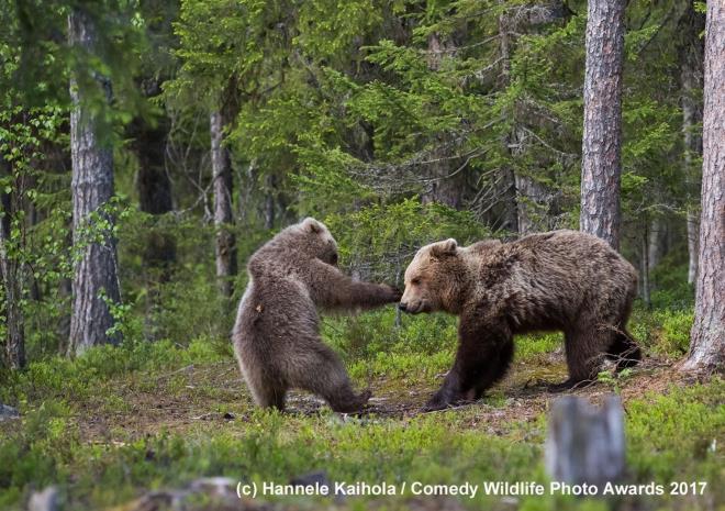 Sadece bir fotoraf yarmas deil ayn zamanda doaya olan bilinci artrma amacn da hedefleyen yarmann finalistleri imdiden konuulmaya baland.
