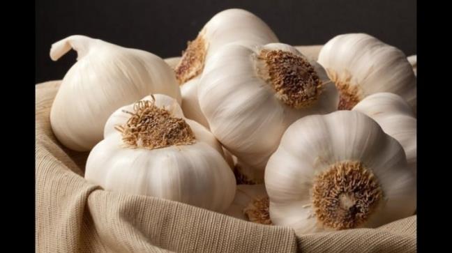 6 ile 7 saat aras: Sarmsan antibakteriyel zellii gn yzne kyor ve vcuttaki bakterilerle savamaya balyor