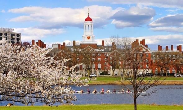 6- Harvard niversitesi