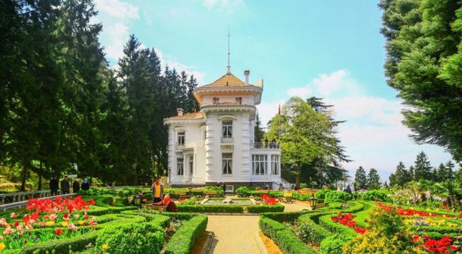 Trabzon IQ Ortalamas: 110.05