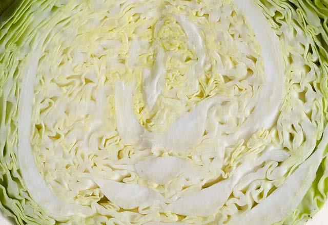 Turusu probiyotik zellie sahip!<br>    Turunu yaparak beyaz lahanaya probiyotik zellik kazandrabilirsiniz. Ancak turu iine eklenen tuz, probiyotik miktarnn azalmasna neden olabilir. Probiyotikler barsaklarda yaayan yararl bakterilerdir. Barsaklarn salkl olmasn salayarak bir ok hastala kar vcudu korurlar.  <br>  Sadece unutulmamas gereken ey turuyu mutlaka sirke ile hazrlamak ve olgunlatnda hem lahanasn yemek hem de suyunu imek.