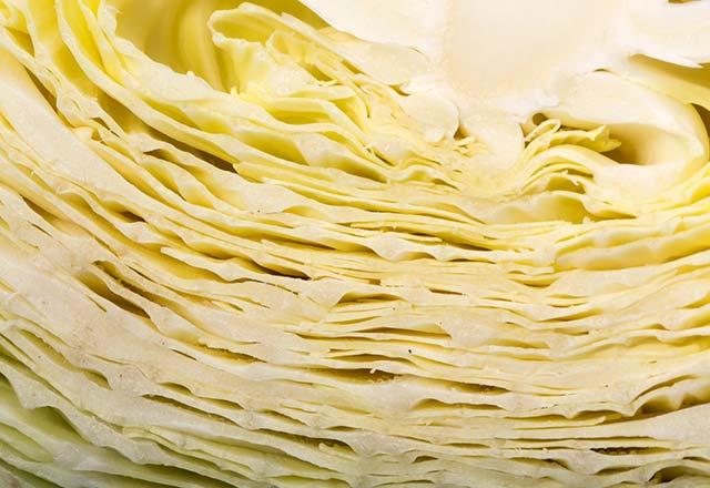 Kemikleri koruyor<br>    Gl bir kalsiyum kayna olan beyaz lahana bu zelliiyle dier sebzelerden birka adm ileride. Gnlk kalsiyum ihtiyacnn yzde 10&#8217;unu 100 gram beyaz lahana ile tamamlayabilirsiniz. Bylece hem di hem de kemik dokusunun salamln destekleyen beyaz lahanann i ya da pimi olmas kalsiyum ieriini etkilemiyor.