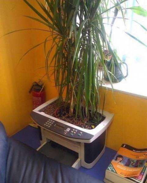 Ofis alanlarnn can sklrsa