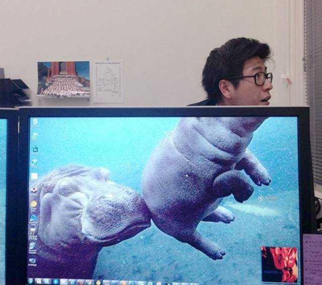 Ofis alanlarnn can sklrsa