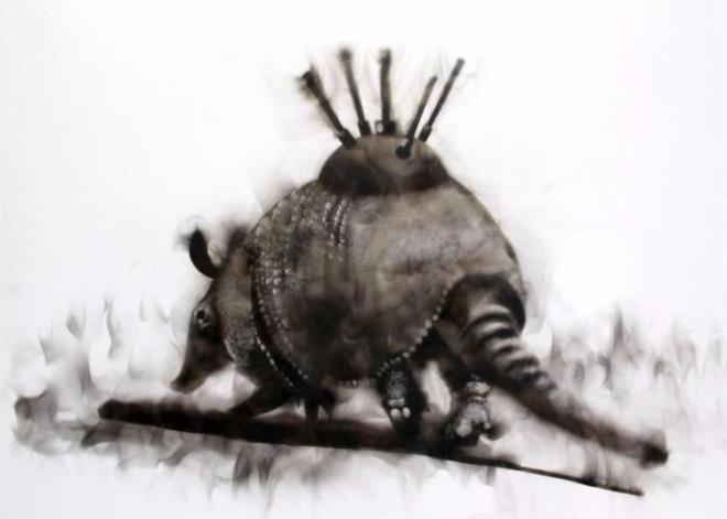 Bu resimleri atele iziyor!