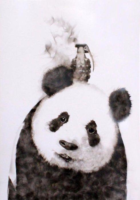 Bu resimleri atele iziyor!