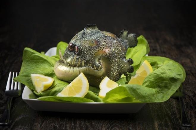 Byle oyuncaklar grmediniz!