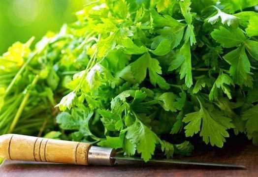 Taze otlar, iftlik hayvanlarndan ve topraktan bir takm naho eyler kapabilirler.