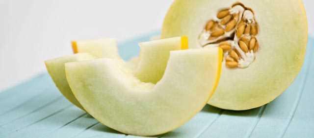 Bakteriler, bir oturuta nadiren bitirilen kavun gibi nemli gdalara baylrlar.