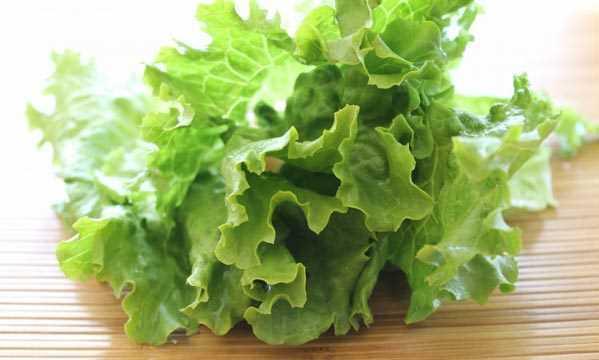 Yere yakn, kirin ve kumun yapraklar arasnda birikebilecei ekilde byyen marullar, manavlara gidene dek bir miktar bakteri kaparlar.