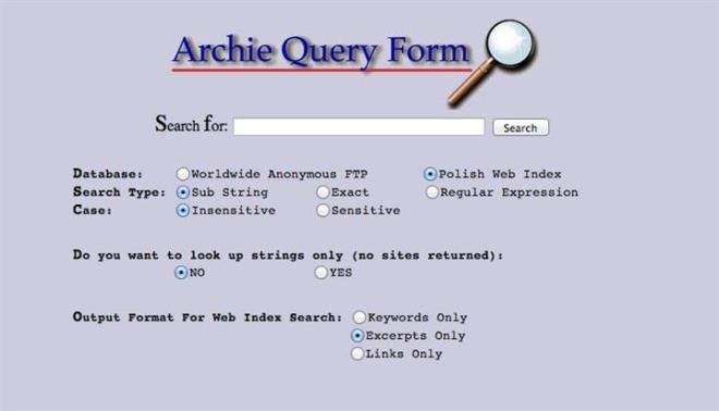 lk arama motoru, 1990 ylnda McGill niversitesi rencisi olan Alan Emtage tarafndan kuruldu. 'Archie' adn tayan ve dosya arama zerine kurgulanan arama motoru herkese ak FTP sunucularnn dosya listelerini depoluyordu.