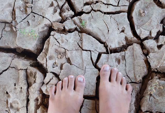 Kanserden damar sertliine romatizmadan astma kadar pek ok hastaln sebebi "enflamasyondur". Topraa plak ayakla basmak ise enflamasyonu yok edecek gce sahip.