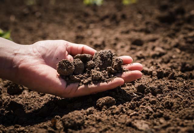 Uzmanlar son dnemlerde giderek artan kanser ve eitli enfeksiyonel hastalklarn insanlarn toprakla iliiini kesmesinden kaynaklandn sylyorlar. Aratrmalara gre, sentetik kauuk tabanl ayakkablar elektron transferine izin vermez.  Ancak deri tabanl ayakkablar bu geii salad iin yalnayak gezmek de art deildir.
