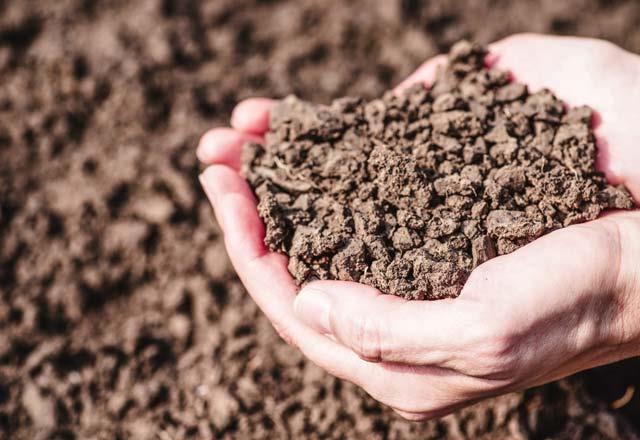 <p>    Topraa uzun sre baslmas sonucunda zeta potansiyeli ntr hale gelir ve kalp krizi riski en aza iner.