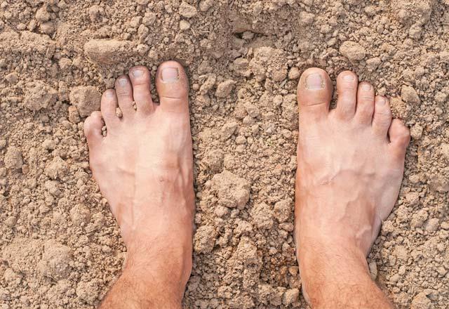 Yaplan aratrmalara gre, hayvanlarda yaplan deneyler sonucunda topraklanmam farelerin kan ekerlerinin ayn beslenme program uygulanan topraklama yaplan farelere oranla daha yksek olduunu gsteriyor.