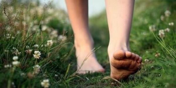 Kalp krizini engeller   <p>    zellikle kadnlarda doum kontrol haplarnn fazla kullanlmas sonucunda zeta potansiyeli oalr. Bu potansiyel ilerleyen zamanlarda kadnlarda kalp krizi riskinin artmasna neden olur.