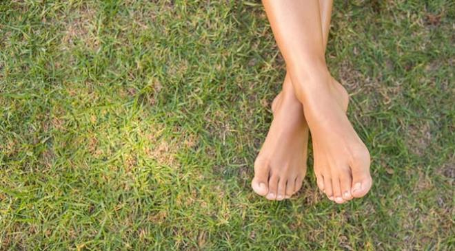 Topraklama ile krmz kan hcreleri yzde 280 artar.