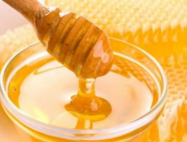 ER Seyrani Ziraat Fakltesi Tarmsal Biyoteknoloji Blm retim yesi Prof. Dr. Sibel Silici nderliinde yaplan almada, ayiek, narenciye, kestane ve kark iek ballar, ar st ve polenler bata olmak zere 45 farkl ar rnnde hangi kaklarn kullanlmas gerektii aratrld.