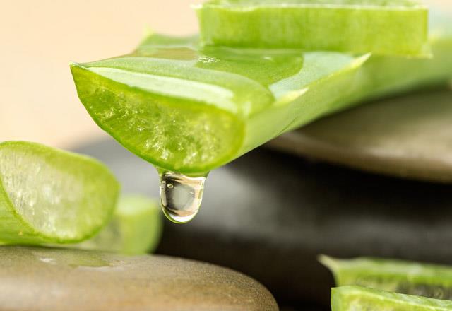 Aloe vera<p>      Harika bir nemlendirici olan Aloe vera, kantl sa derileri iin  etkili bir tedavi.