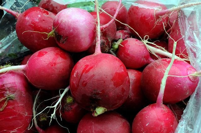 TURP<p>      &#8220;Turp gibi olmak&#8221; deyiminin bouna sylenmedii aikar. Zira ierisindeki zengin C vitamini, folik asit, fosfor ve yksek diyet lifi sayesinde tam bir salk kayna. ok gl bir antioksidan olan turp, souk algnl gibi hastalklarn tedavisinde birebir. Yksek lifi sayesinde sindirim ve boaltm sistemini destekliyor, ksre iyi geliyor.