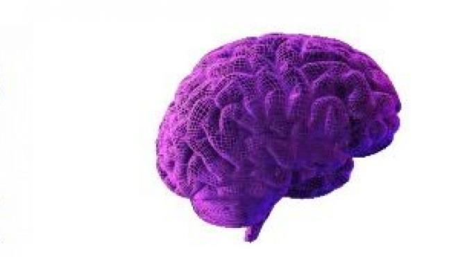 4- Mor German English Dictionary (Java snf ad com.morbeyin.english_german)