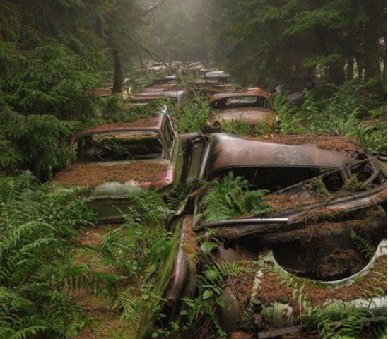 Araba Mezarl &#8211; Belika; Bir zombi filminin sahnesini aratmayan bu grnt kk bir Belika ky Chatillon yaknlarndan.