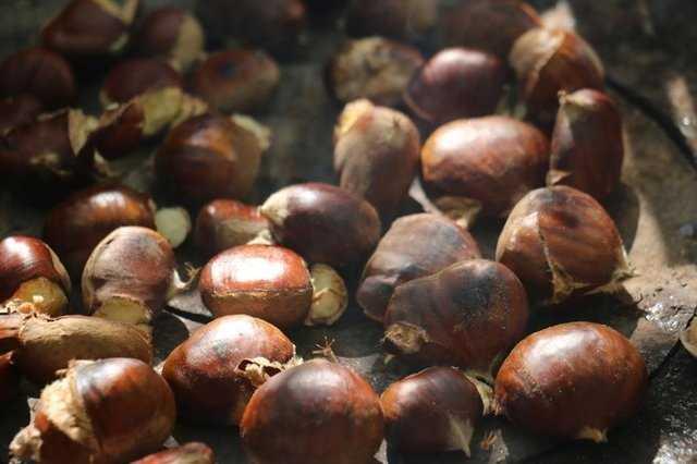 KESTANE K akamlarnn olmazsa olmaz kestane, dier yemilerin aksine dk kalorili ve mineralleriyle, vitaminleriyle olduka zengin bir yemitir. Yksek oranda lif ierir. Gl bir antioksidan olan kestane folik asit ve C vitamini asndan da ok zengindir. Kt kolesterolle savarken, iyi kolesterol ykseltir.