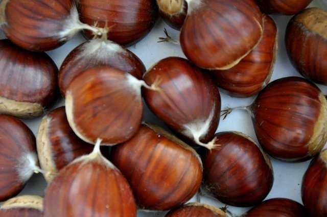 Kalp saln korur. eriindeki potasyum kan basncn dzenler. Ayn zamanda bir B vitamini deposudur. Ancak her eyin az karar, ou zarar sz kestane iinde geerlidir. Karbonhidrat ierii yksek olan kestanenin 3-4 adedi 1 dilim ekmee edeerdir. Bunu bilerek tketilmesi, salk asndan olduka nemlidir..